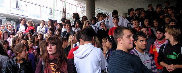 Studenti Veterinaria