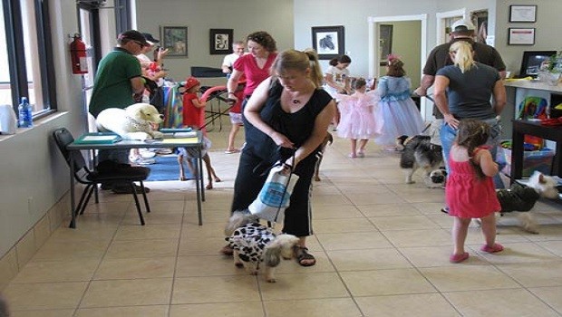 Veterinario sala aspetto