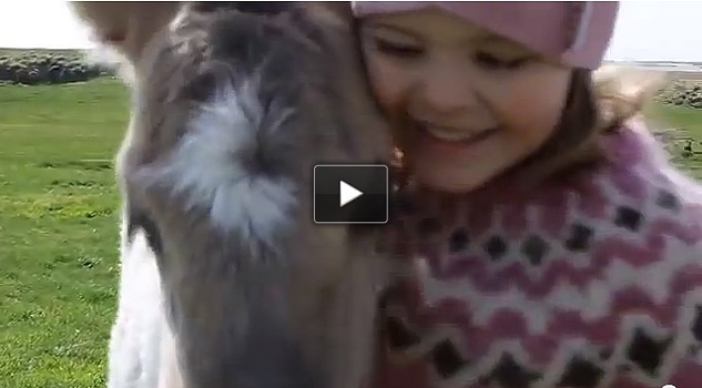 Un pony come pet