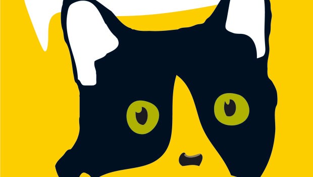 500 cose che mi ha detto il gatto