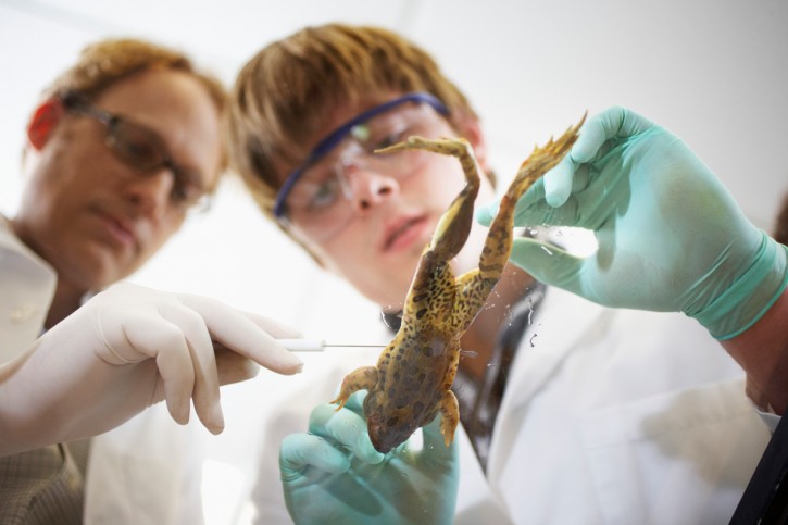 La ricerca senza animali? La tecnologia c'è, la legge no