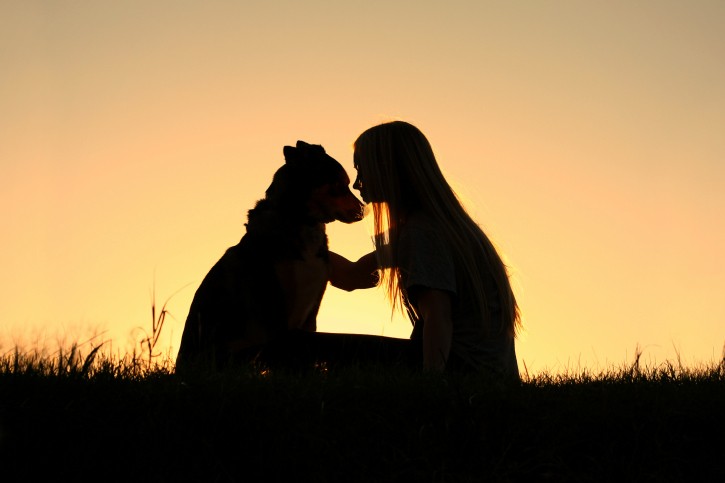 Dieci errori da non commettere con il vostro cane