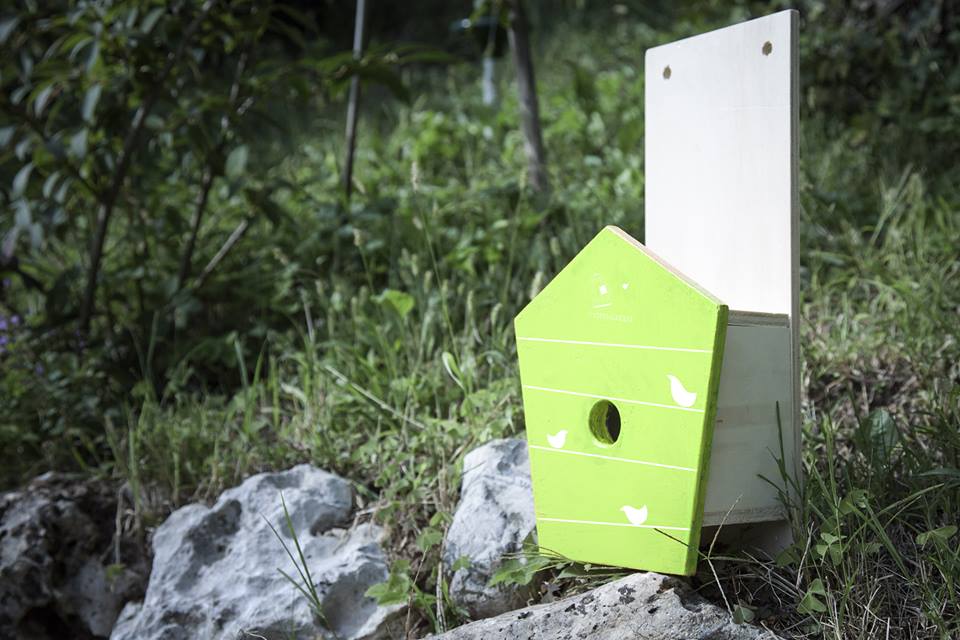 Fuori di gabbia: un progetto per gli uccelli in libertà, dall’alto profilo sociale