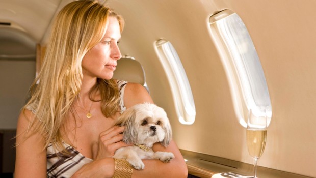 Le regole per far viaggiare un animale in aereo