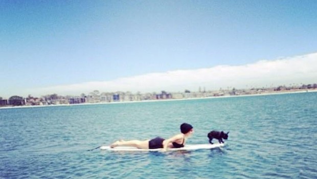 Lady Gaga fa surf con il cane e i fans protestano: dov'è il giubbotto salvagente?