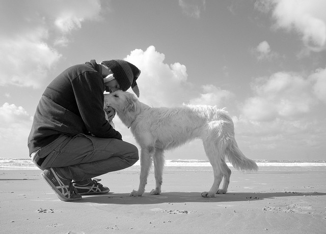 Amicizia tra uomini e animali