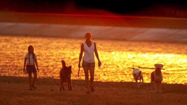 Dieci regole per proteggere cani e gatti dalle alte temperature