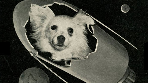 Cani nello spazio