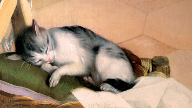 Stefano Zuffi, Gatti nell'arte