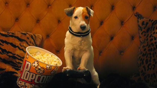 Pongo, il cane milionario