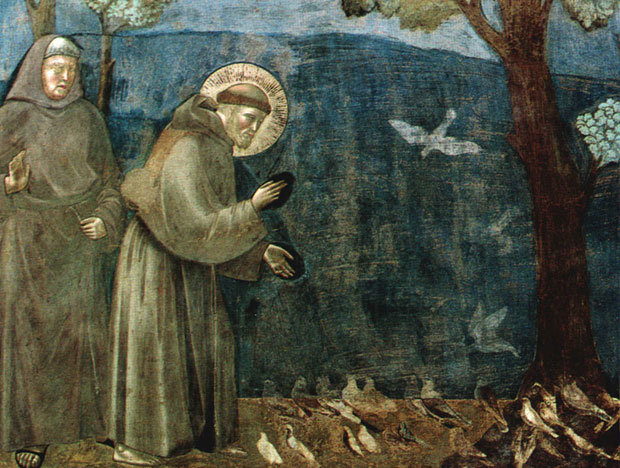 San Francesco e gli animali: un rapporto di rispetto e armonia