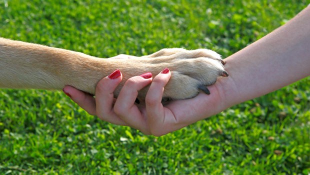 cane_donna_amici
