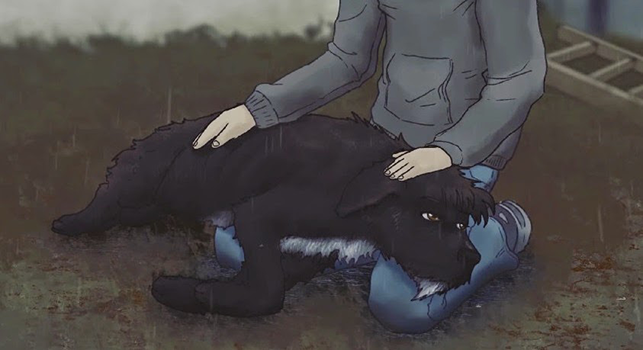 Il commovente saluto al proprio cane che va al Ponte dell'Arcobaleno [video]