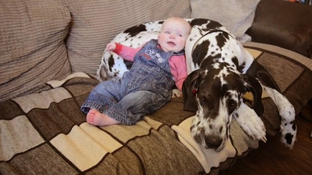 Alano e bambina amici