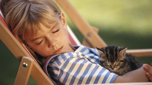 Gatti e bambini