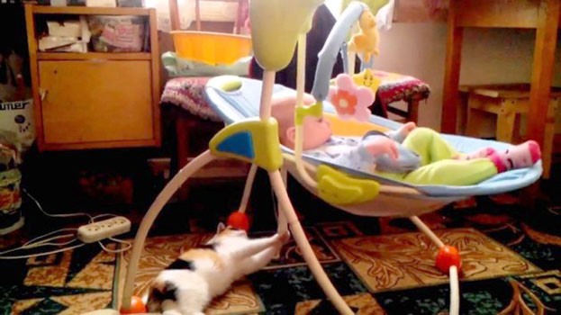 Il gatto che culla il bambino e si diverte