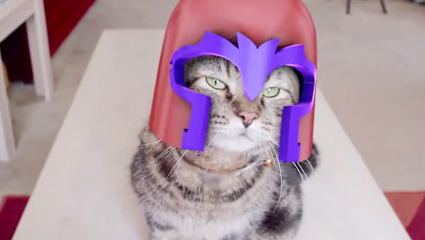 X-Men: Magneto Cat