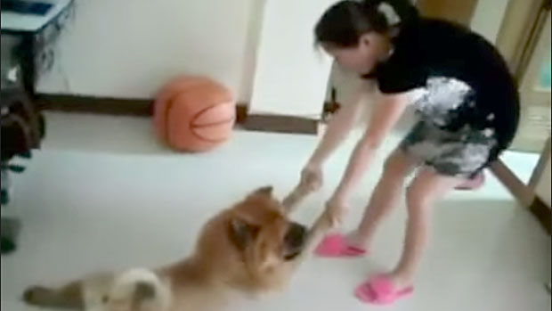 Il cane che non vuole fare il bagno per nessun motivo