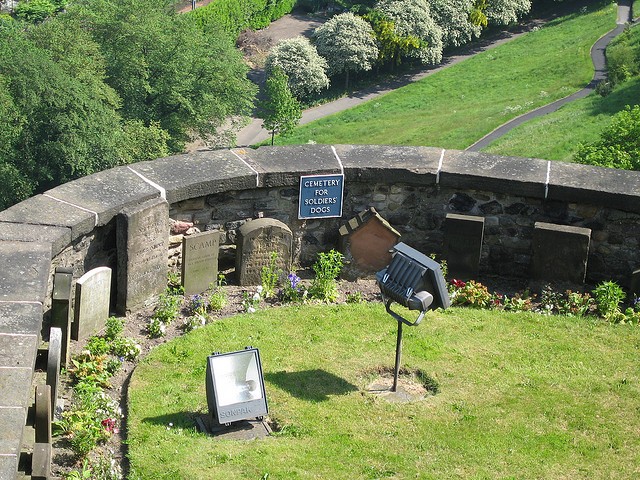 Cimitero per cani