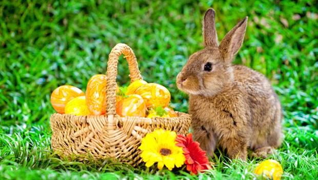 Coniglietti di Pasqua