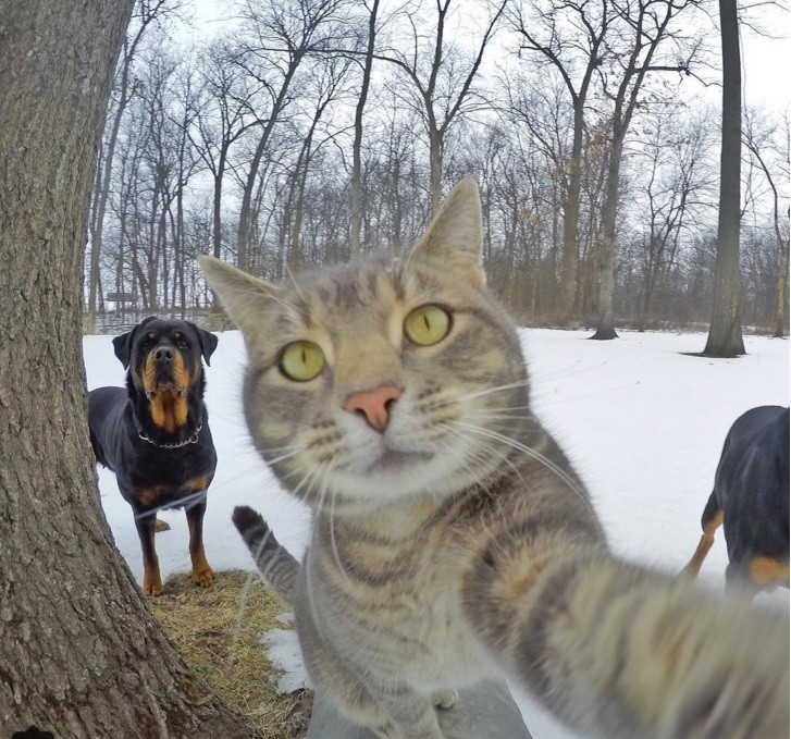 Manny selfie