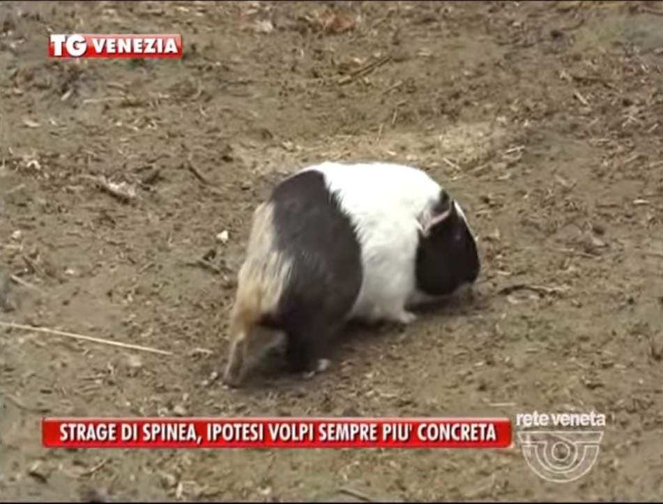Sos Natura Spinea