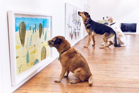 Mostra per cani