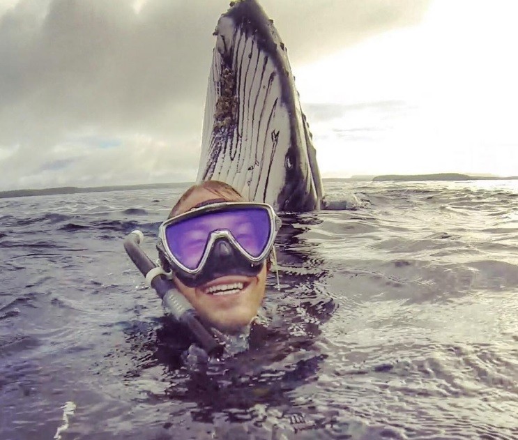 Balena Selfie