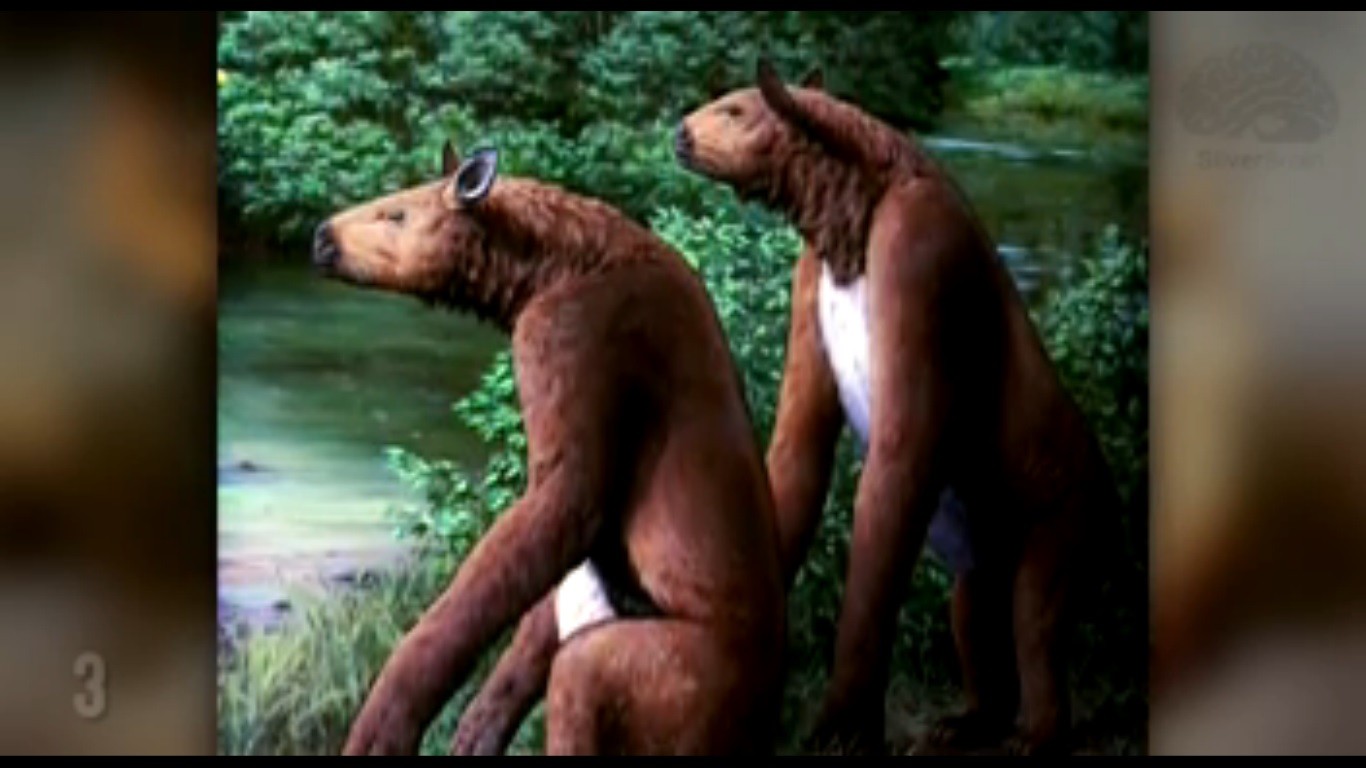 Animali strani estinti