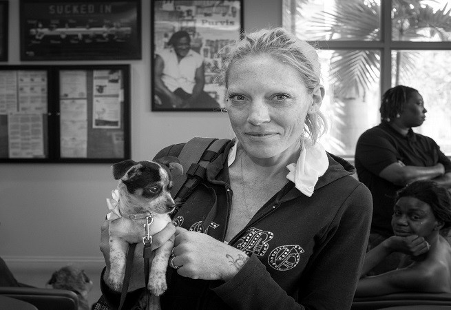 veterinario