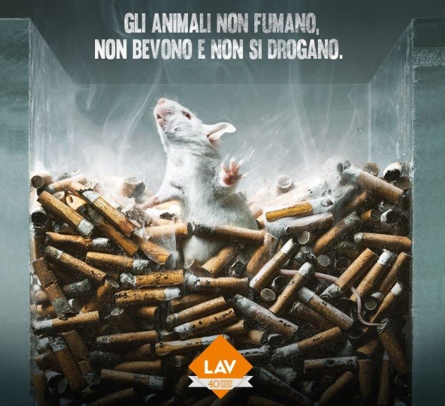 Esperimenti sugli animali