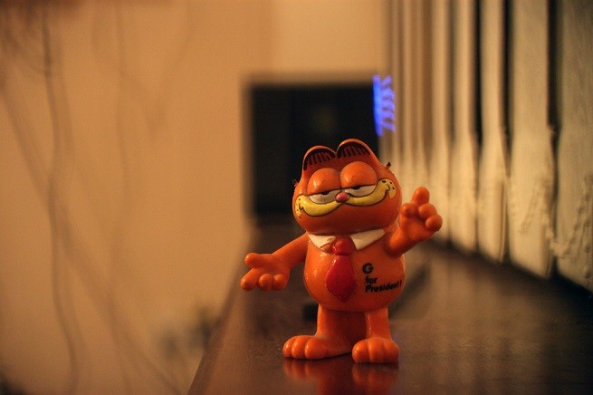 garfield