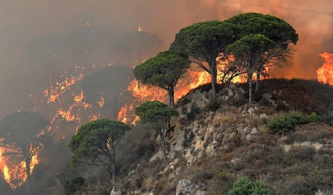 incendi vesuvio