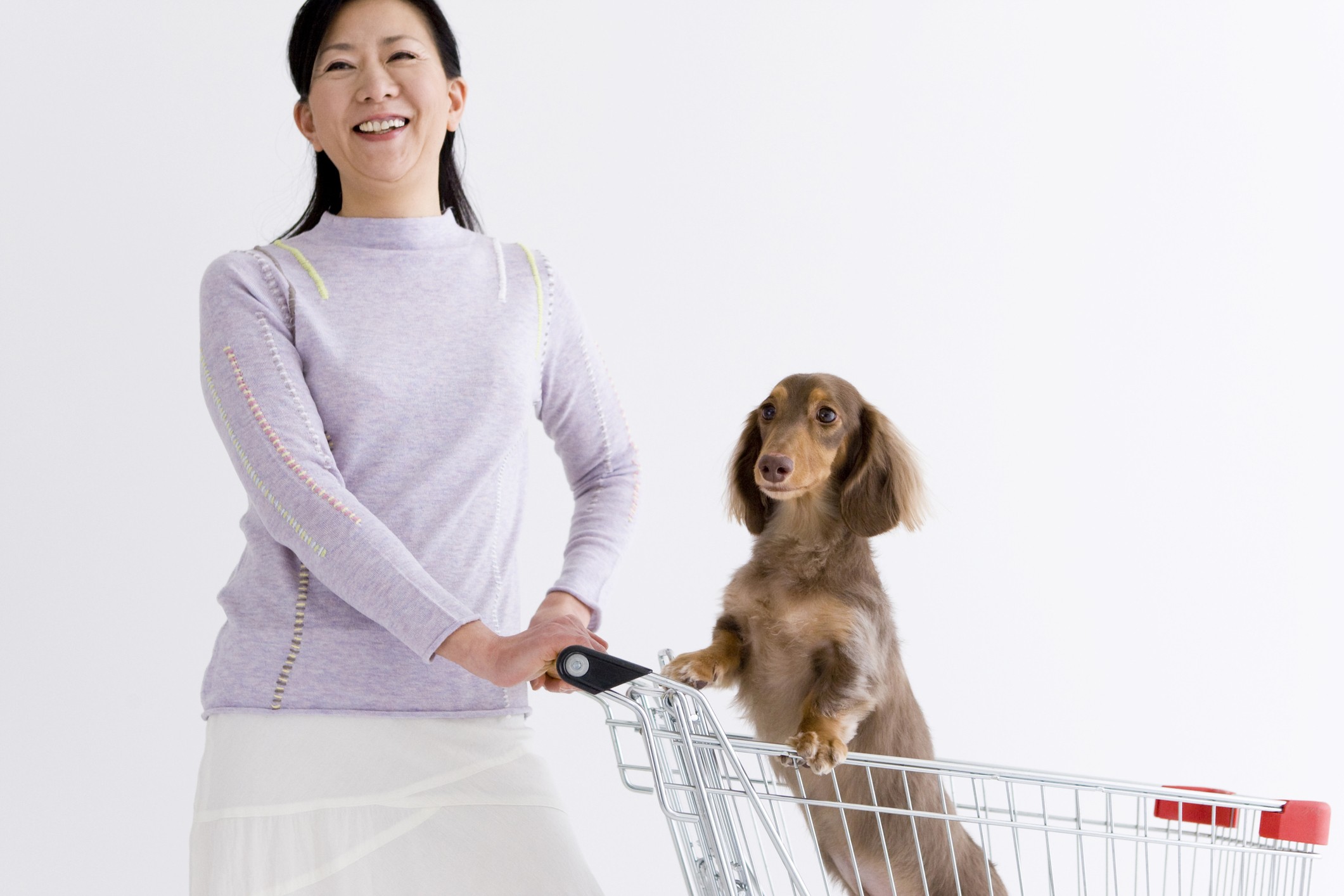 Cani al supermercato