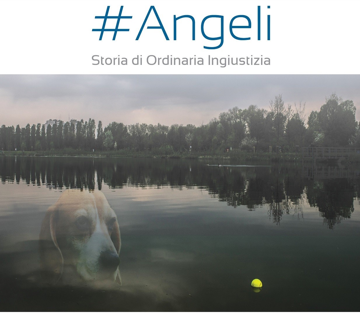 Angeli documentario