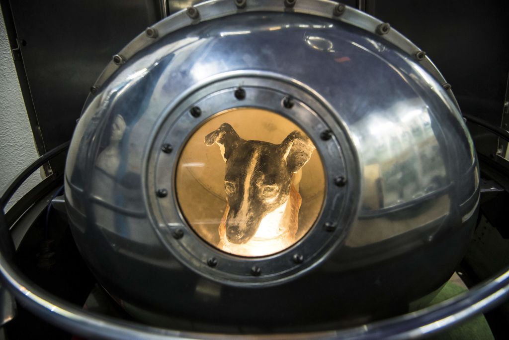 Laika missione