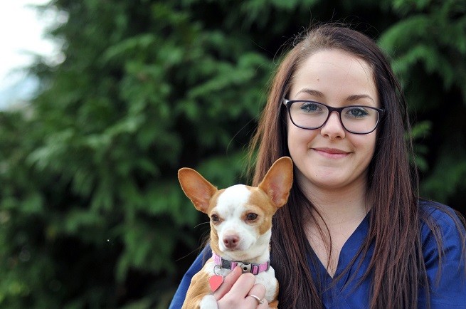 Veterinario