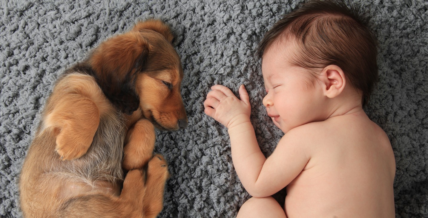 Animali domestici per bambini