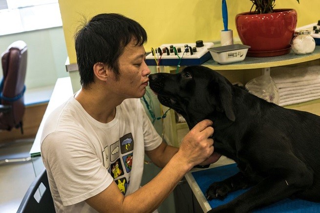 Cane dal veterinario