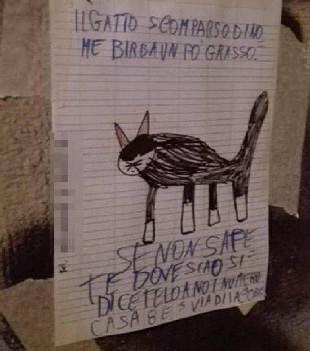 Birba annuncio