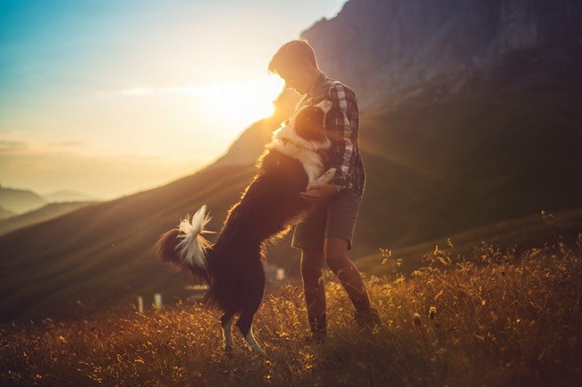 Un cane gioca col suo proprietario