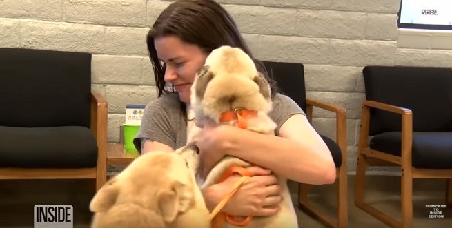 Cani felici col proprietario