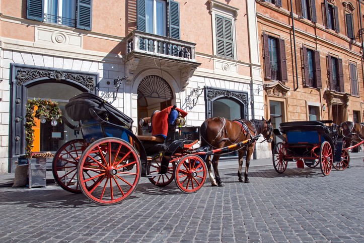 Botticelle a Roma