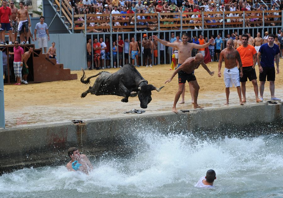 Bous a mar a Denia