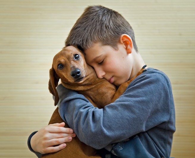 cane ospedale bambino