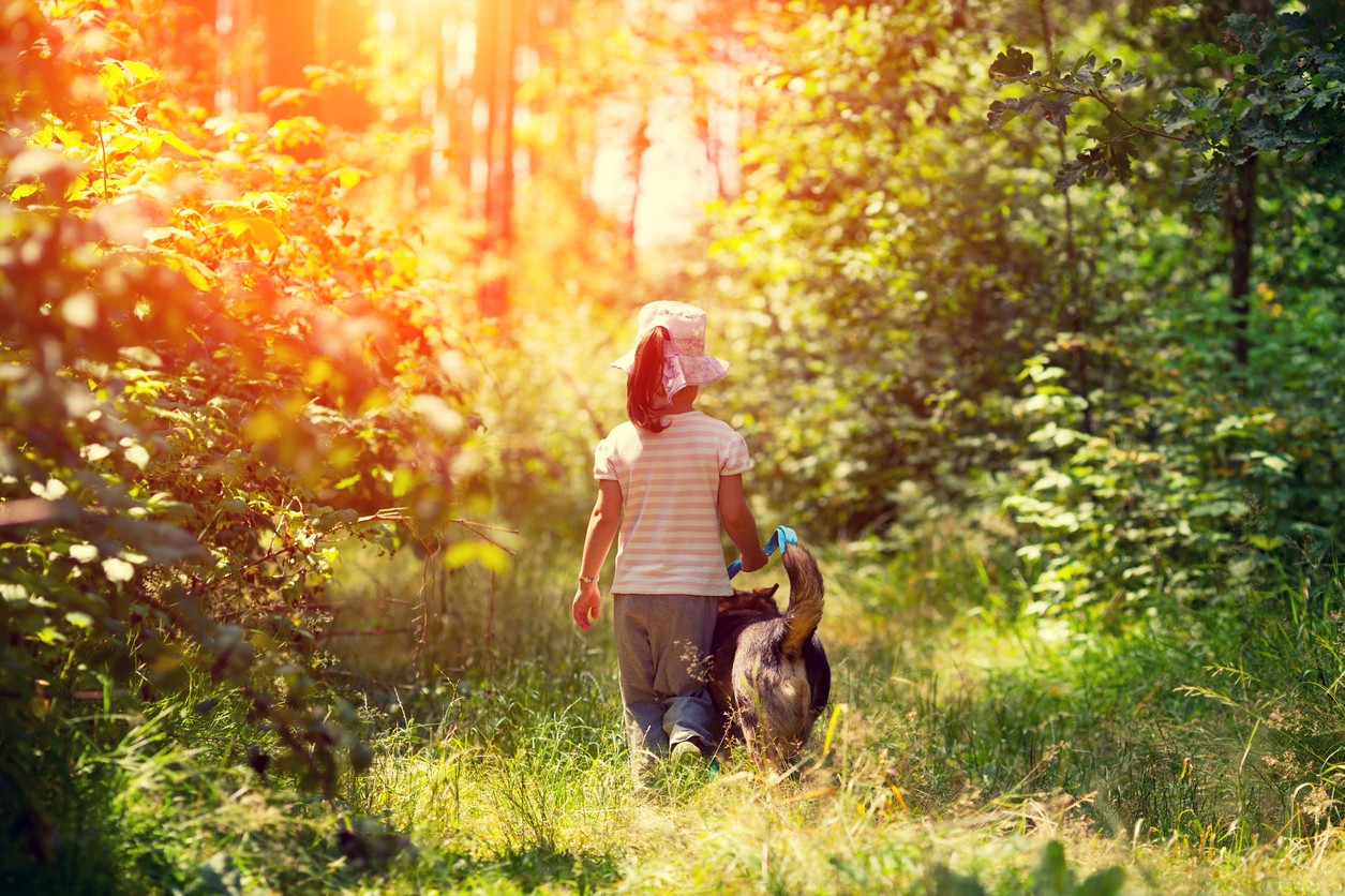 Bambina con il cane