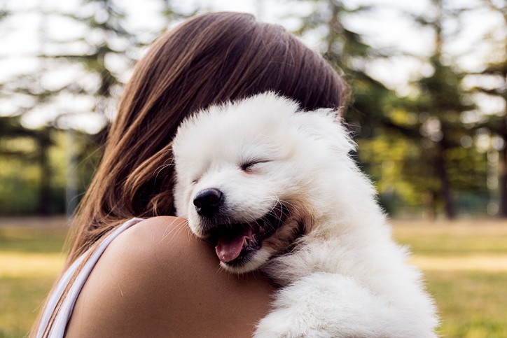 Come capire se il tuo cane ti vuole bene