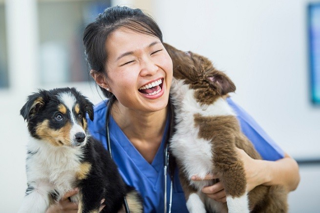 Veterinaria con due cuccioli di cane