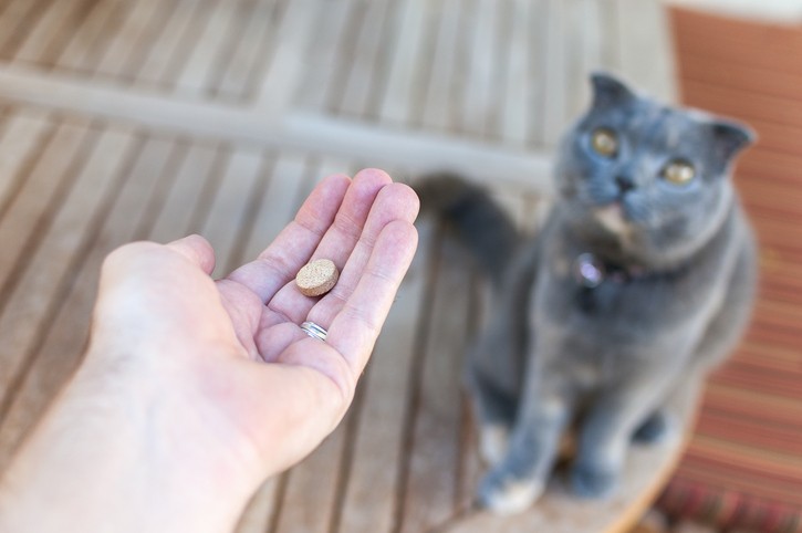 Come dare le compresse al gatto