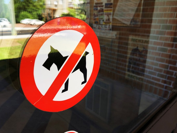 vietato ingresso cani